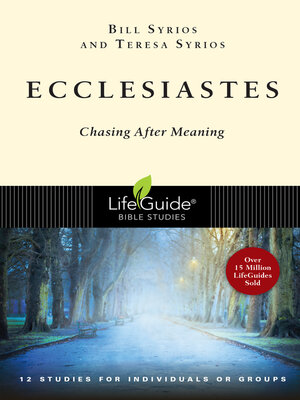 cover image of Ecclesiastes: Chasing After Meaning